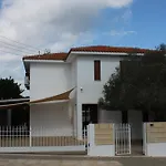 The Olive Tree