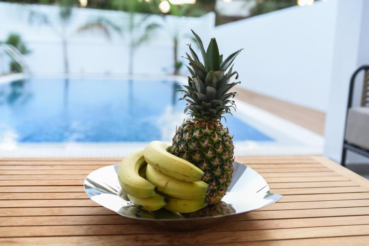 Chrystal Blue Suites 2 Bedroom With Private Pool Vasiliki *
