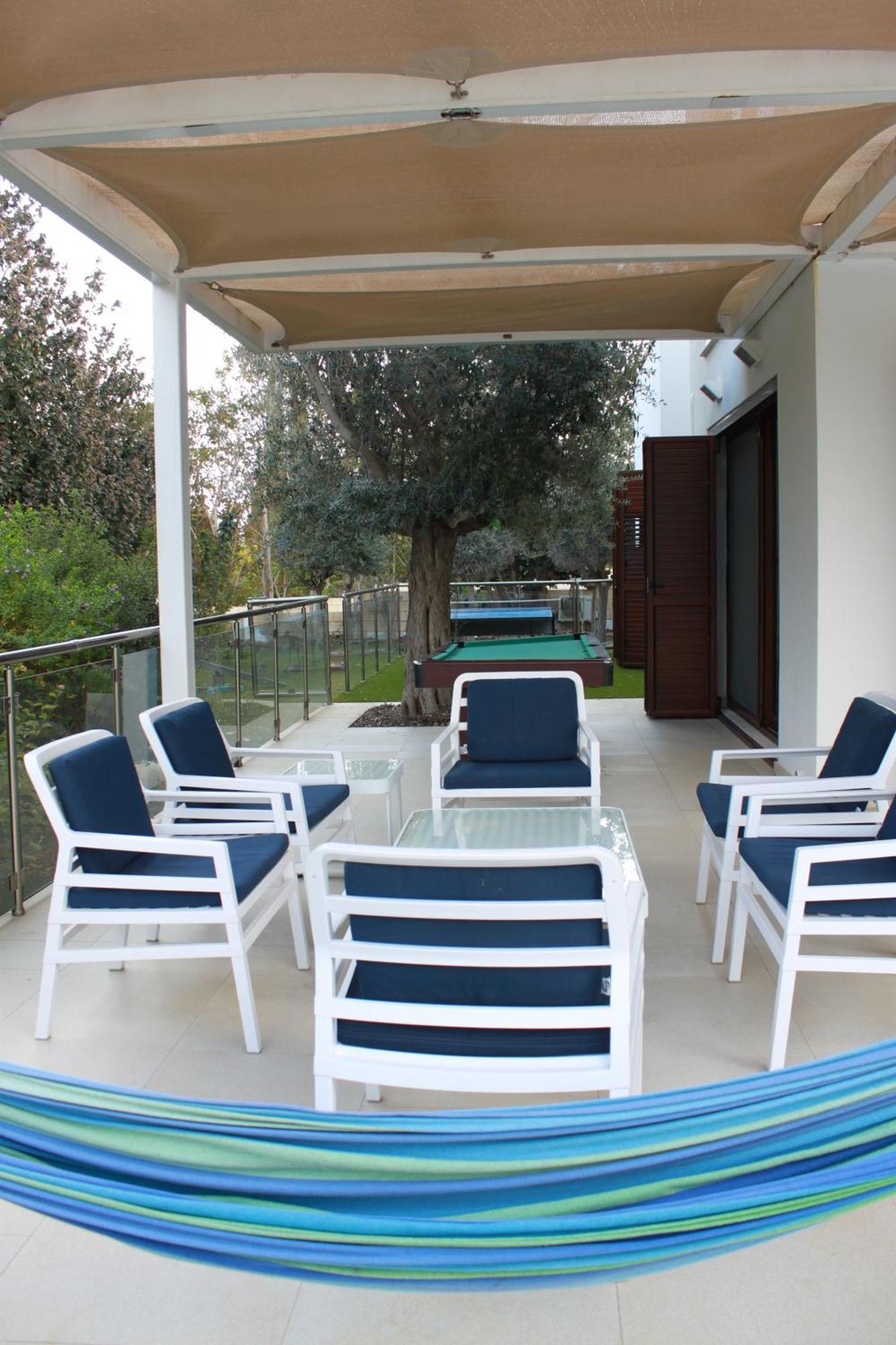 The Olive Tree