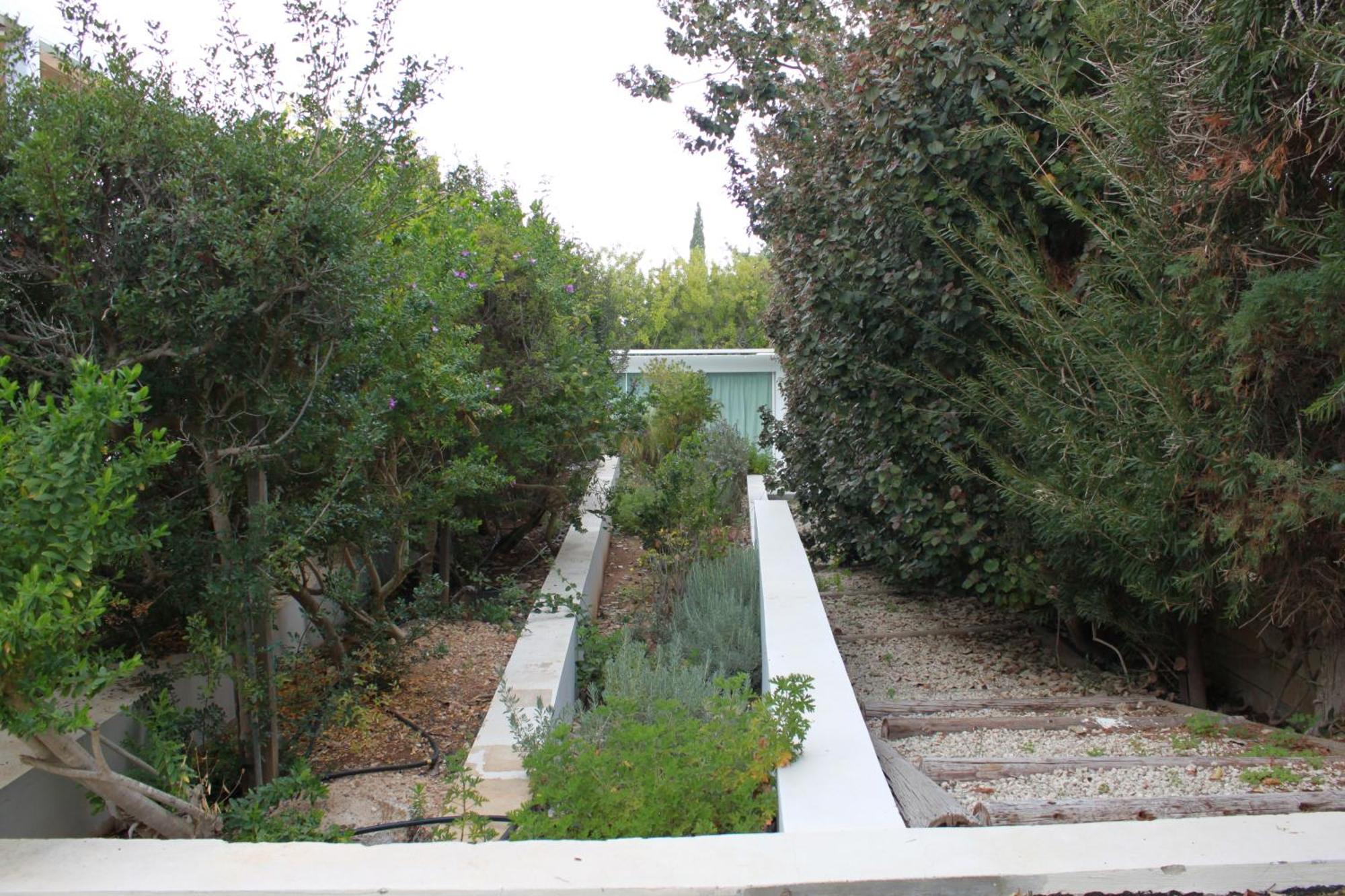 Villa The Olive Tree