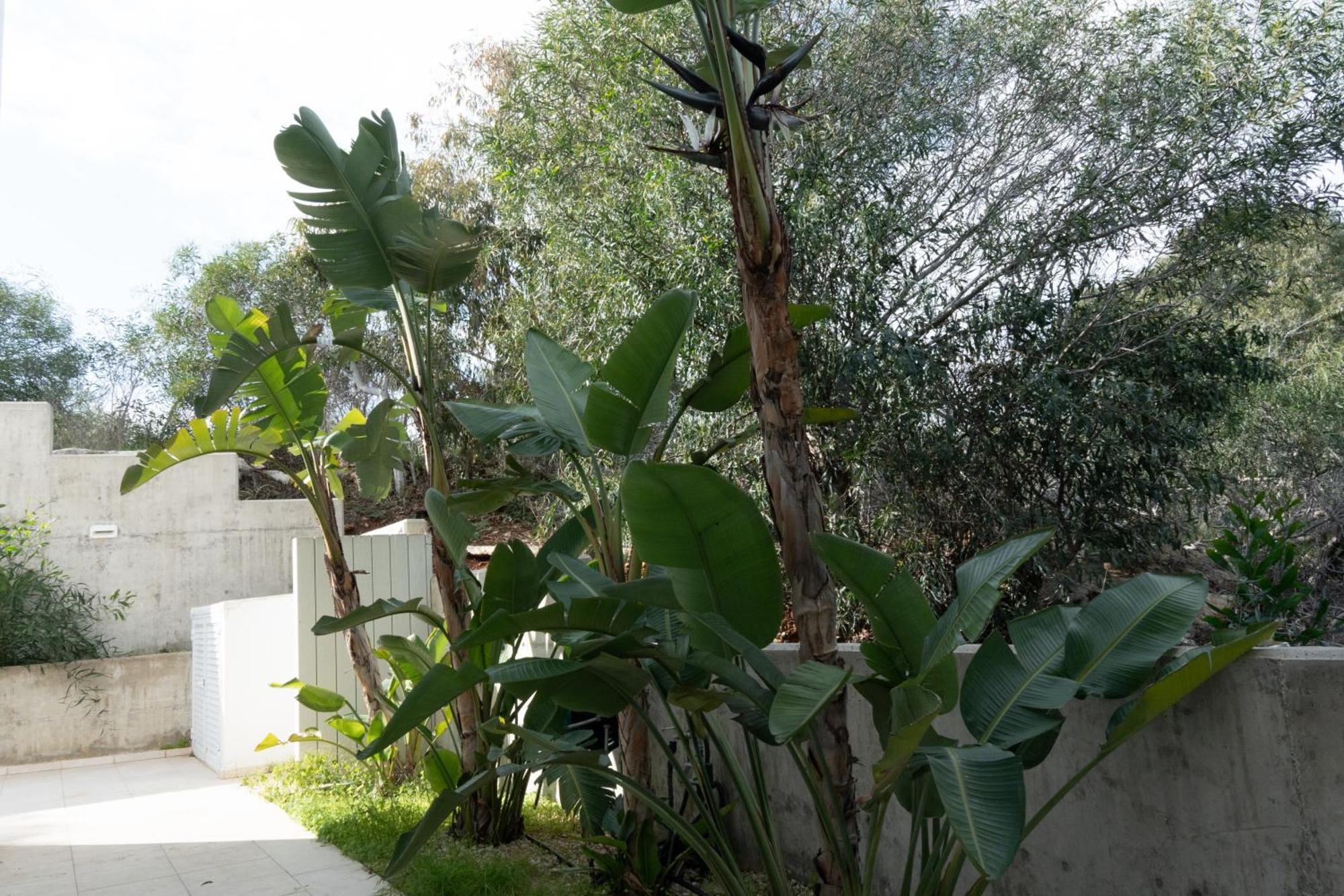 Wealthystays Niceday Hill Villa, 10M Walk To Beach Protaras