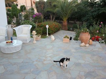 Paradiso Villa