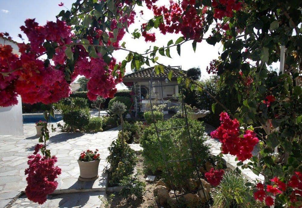 Paradiso Villa Villa