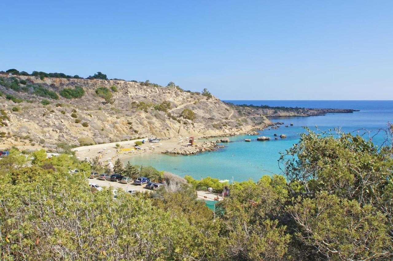 Anastasia - Fig Tree Bay Area *
