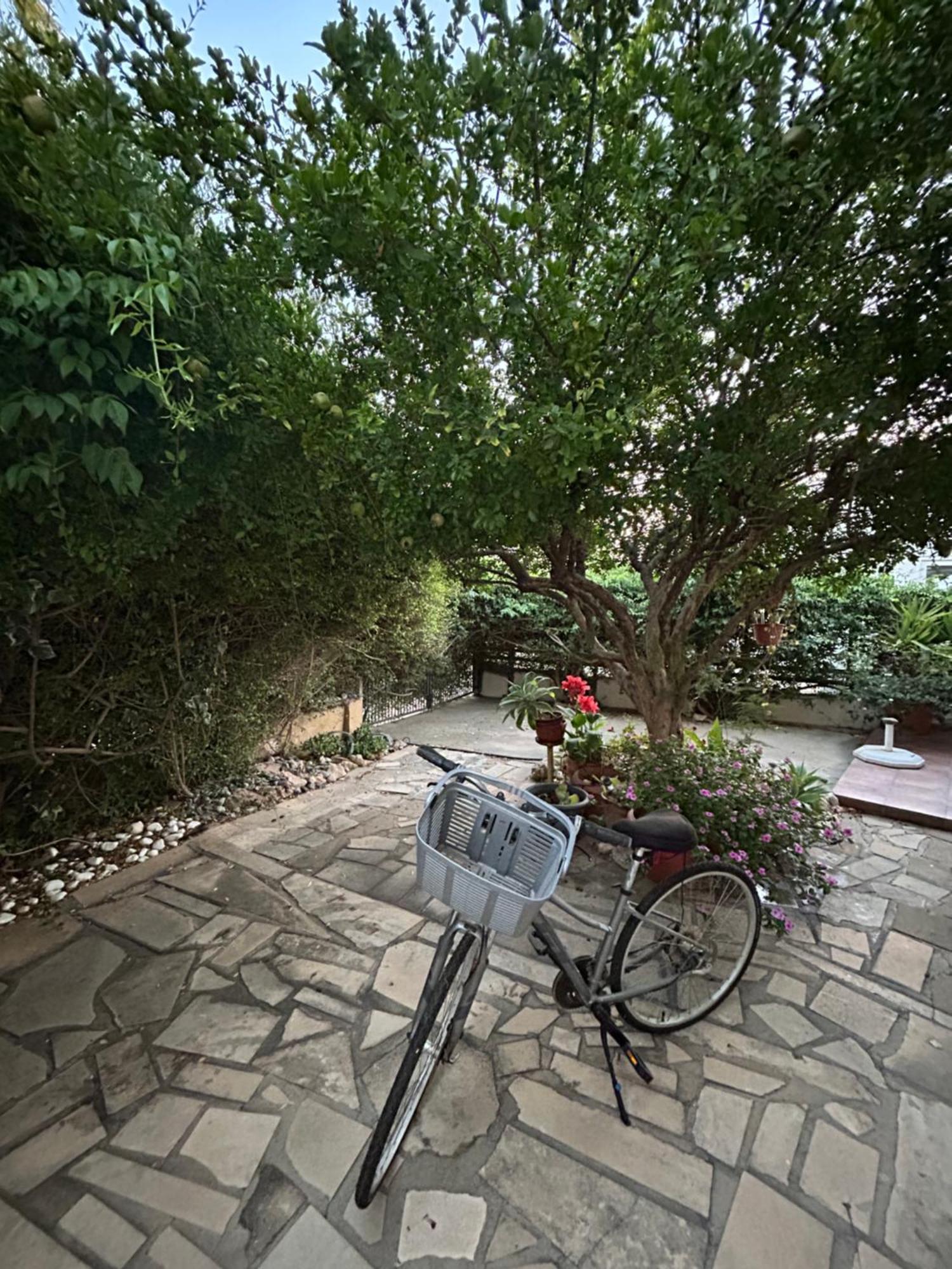 Beautiful Maisonette In Holiday home *