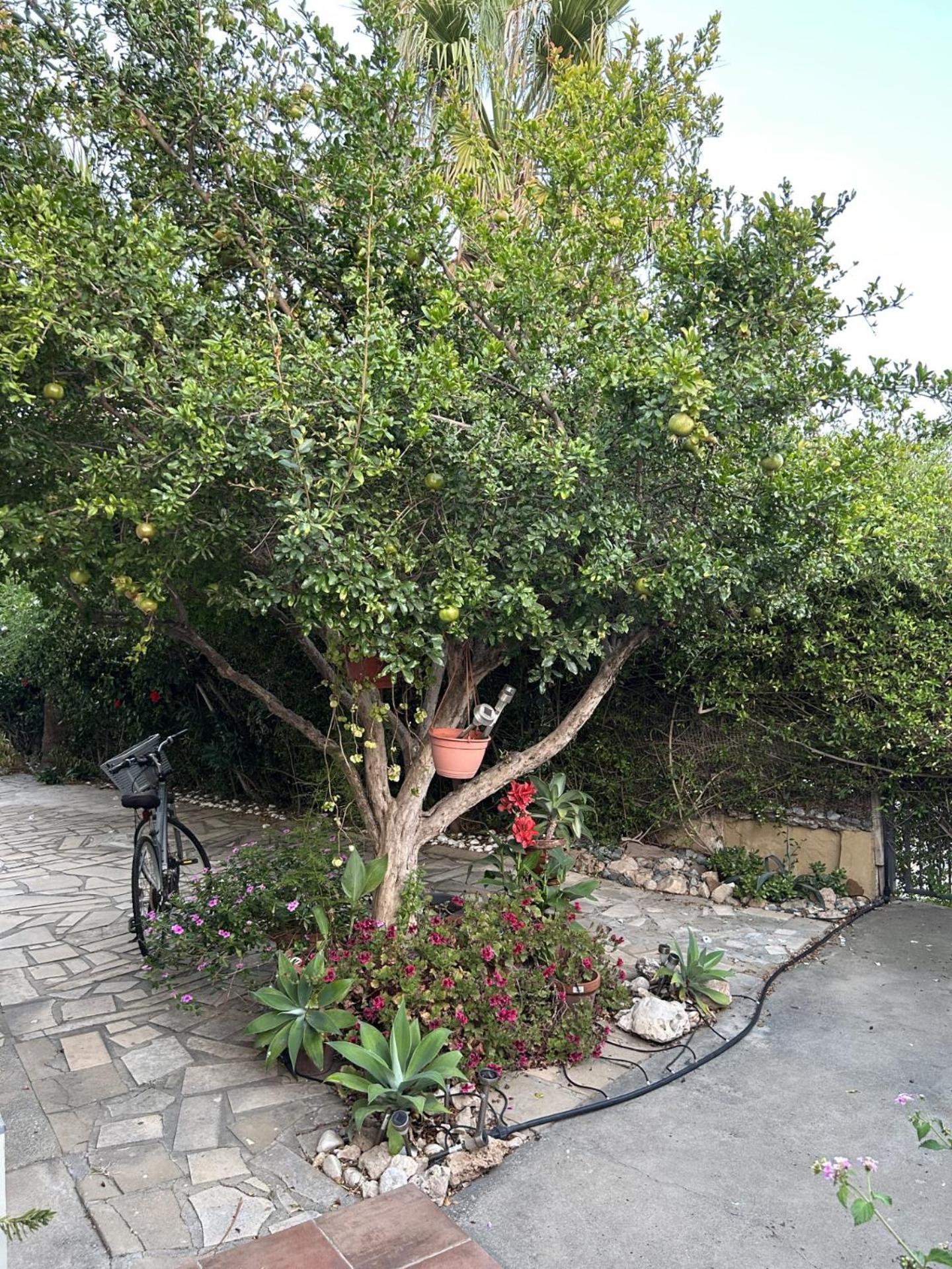 Holiday home Beautiful Maisonette In