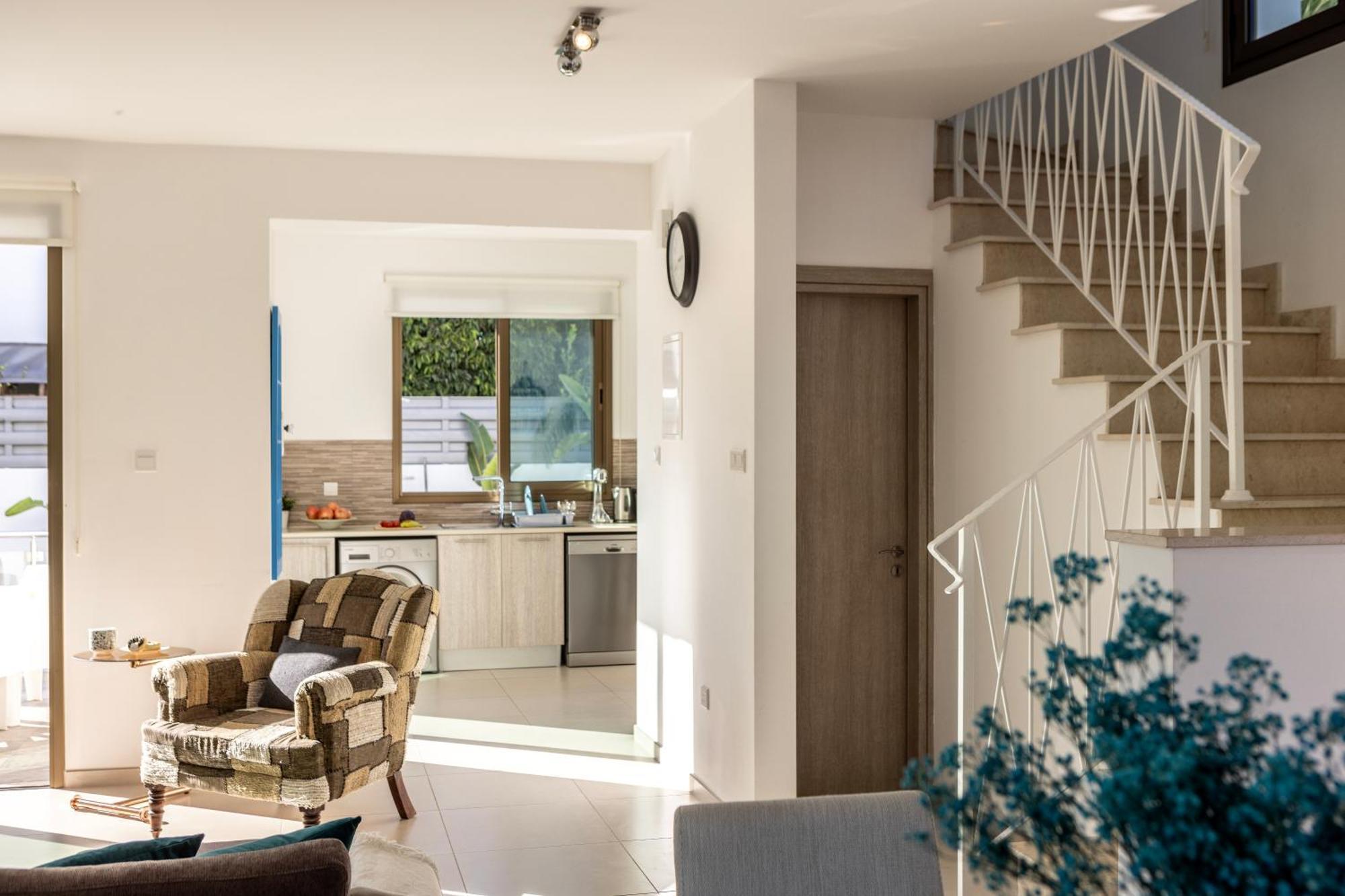 Accomoteleia Blue