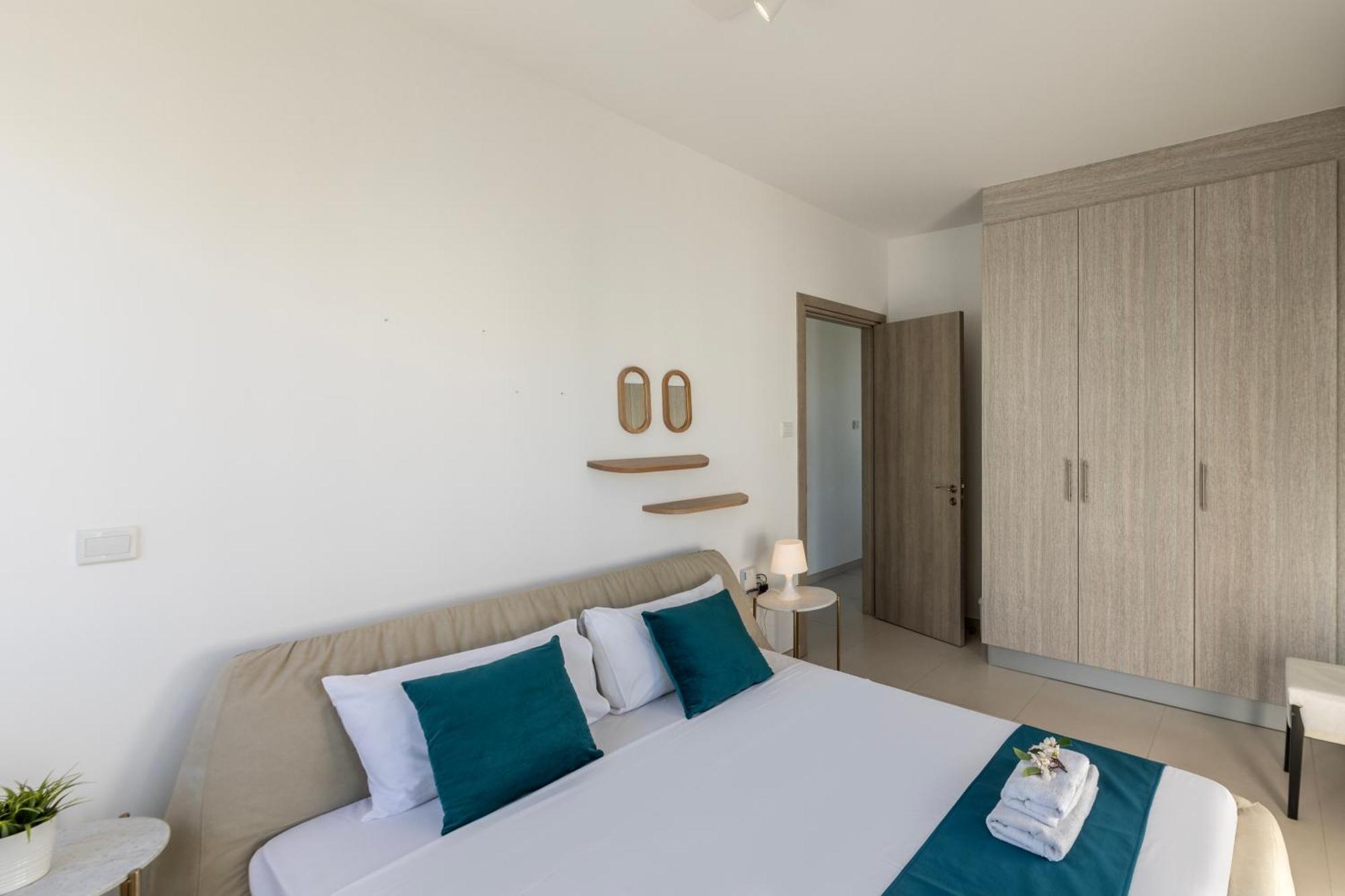 Accomoteleia Blue