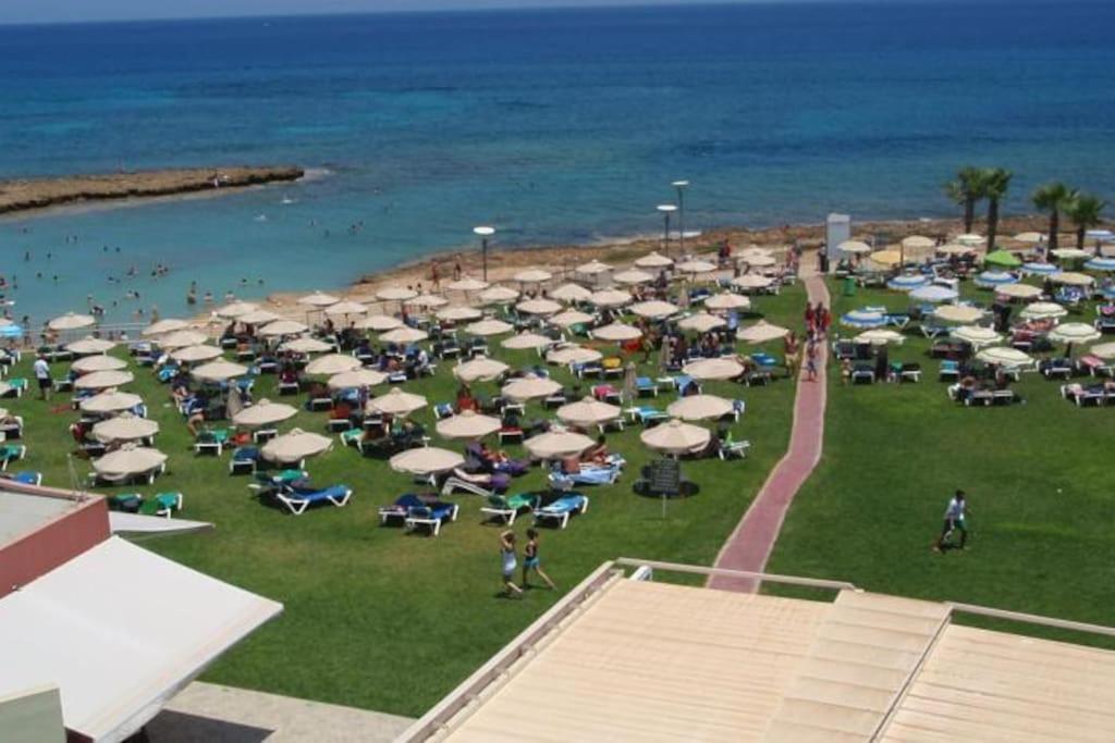 Thaleia - Tourism License 3119 * Protaras