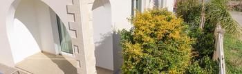 Apartment Oceanview Luxury 058