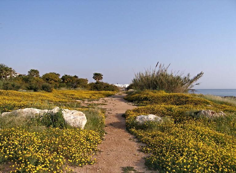 Luxury Bay View 20 Right On τhe * Protaras