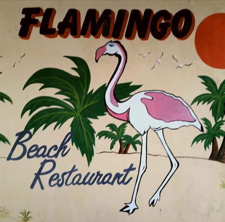 Cassa De Flamingo Protaras