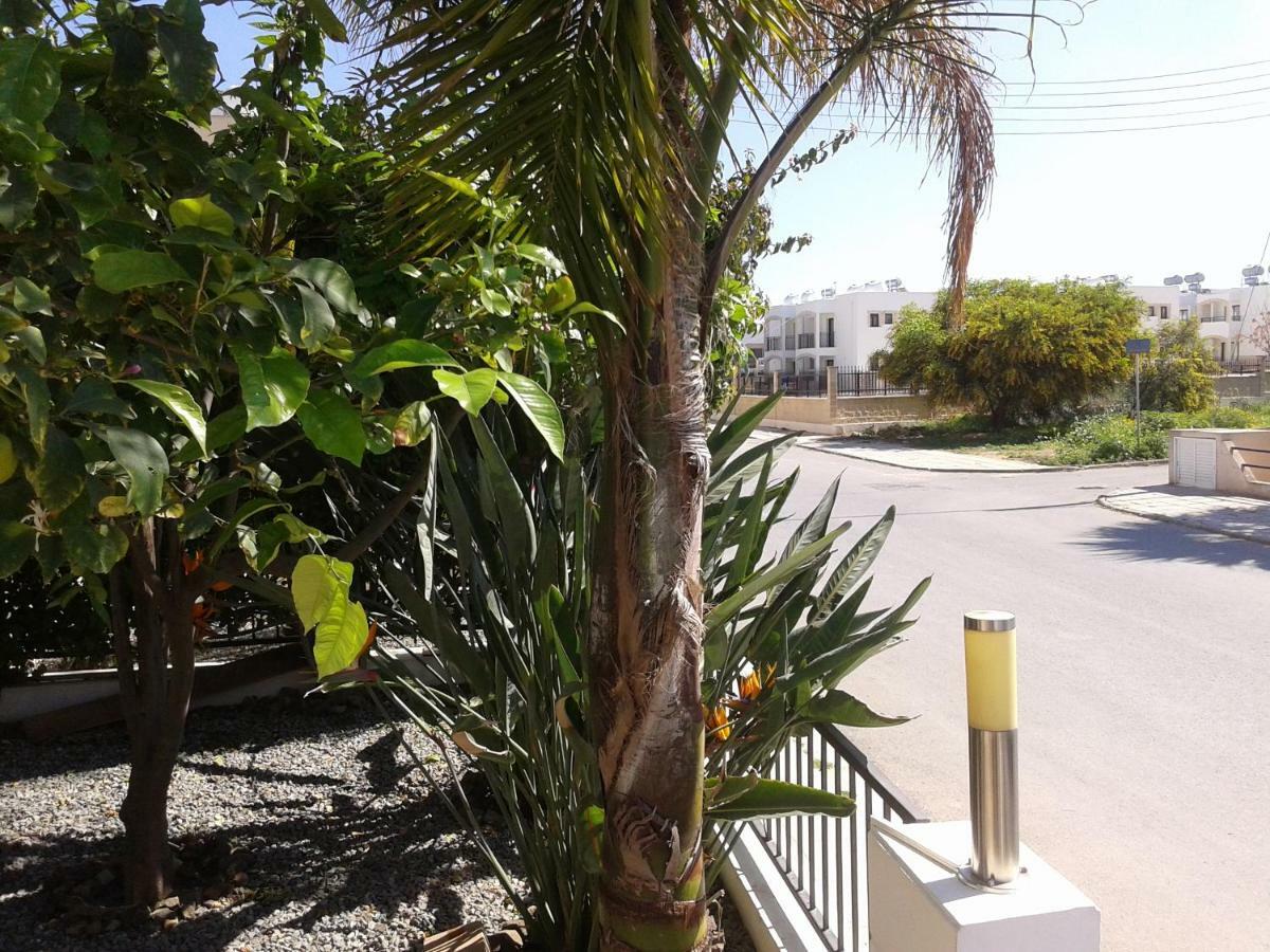 Arcadia Close Apartment *
