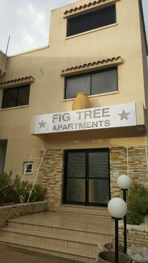 Fig Tree Apartment