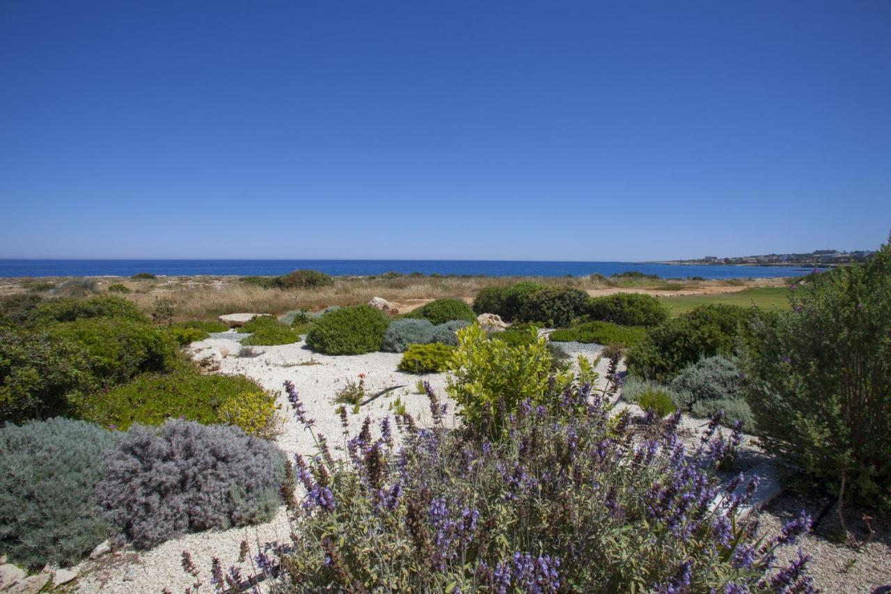 Seafront Melissa * Protaras
