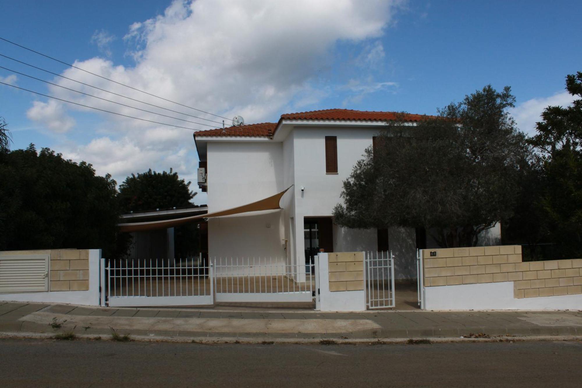 The Olive Tree