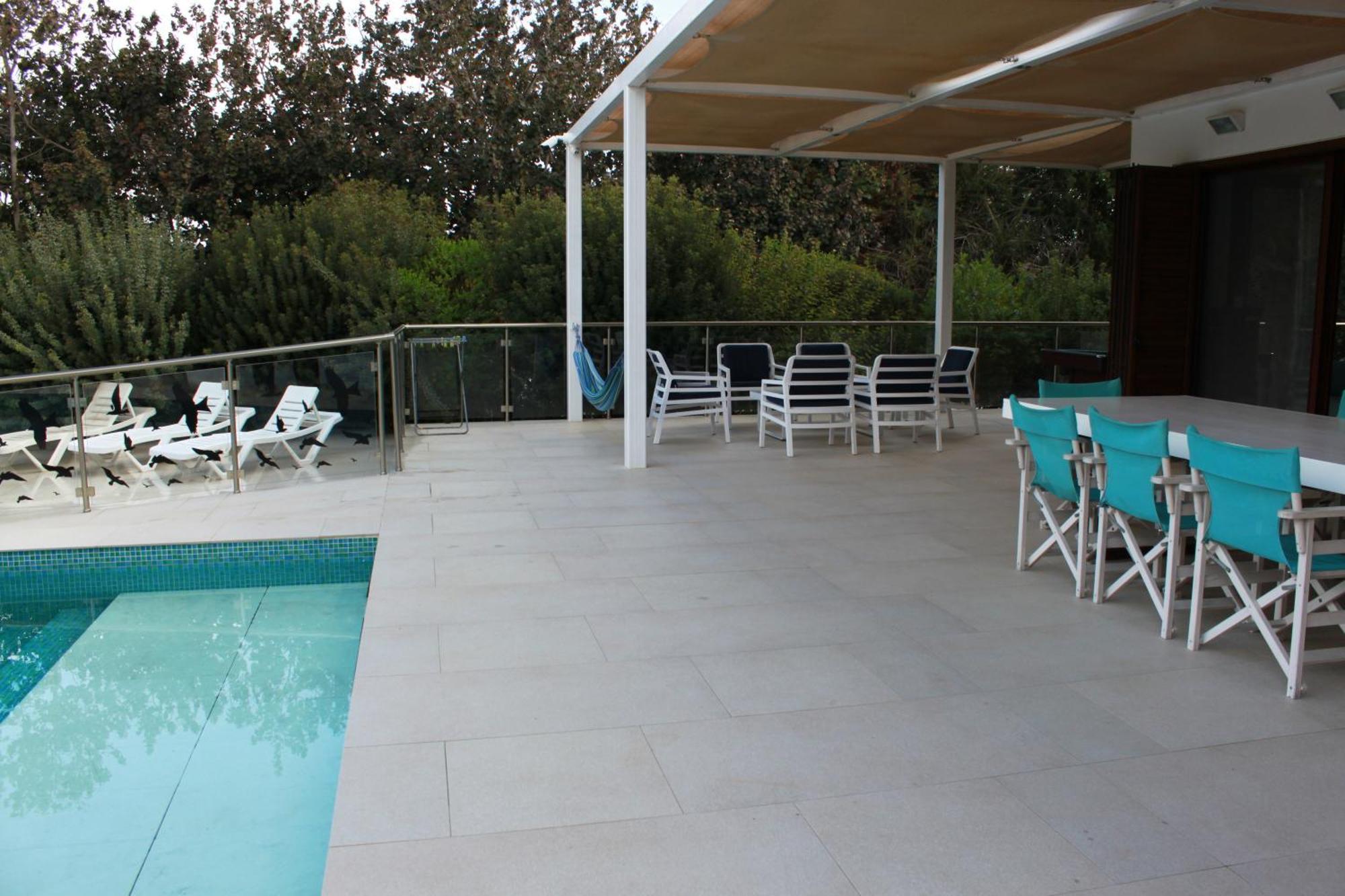 The Olive Tree