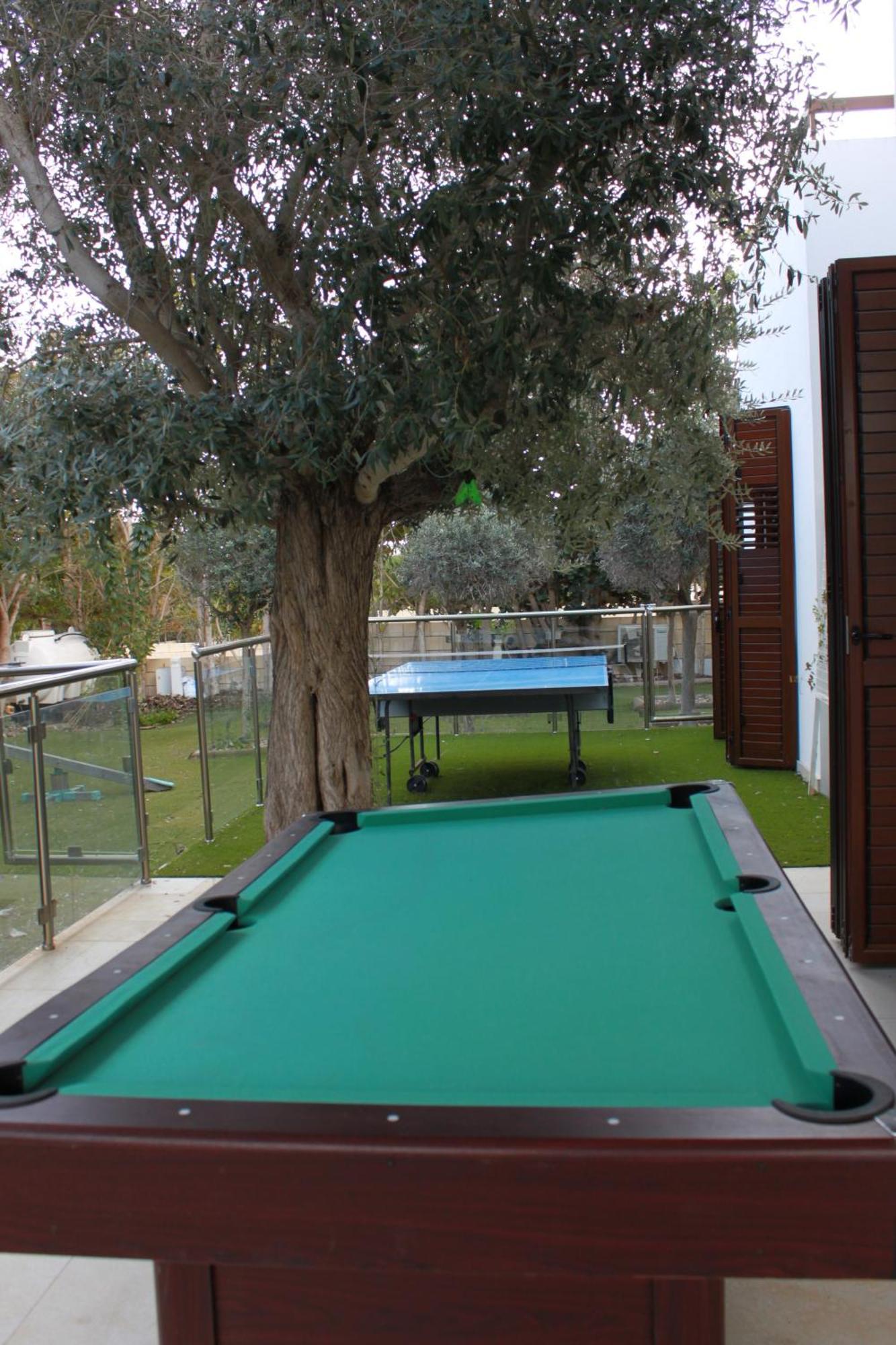 The Olive Tree Villa Protaras