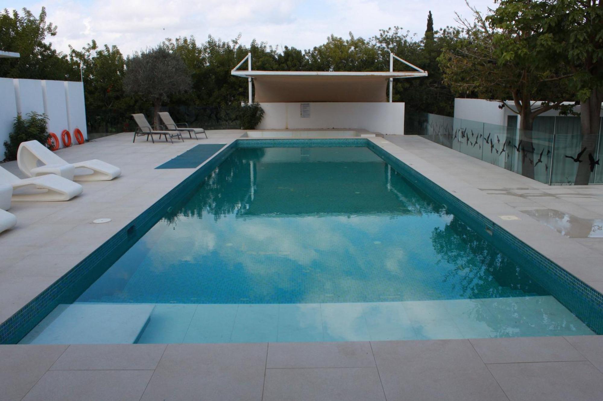 The Olive Tree