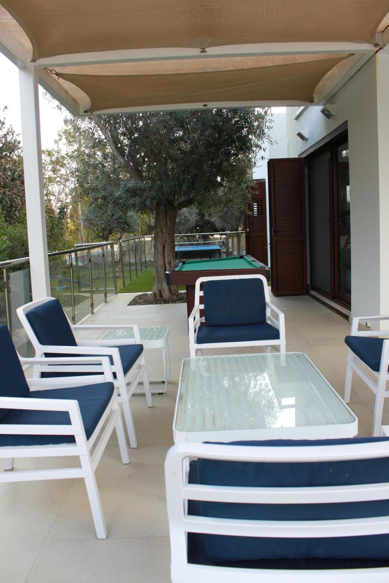The Olive Tree