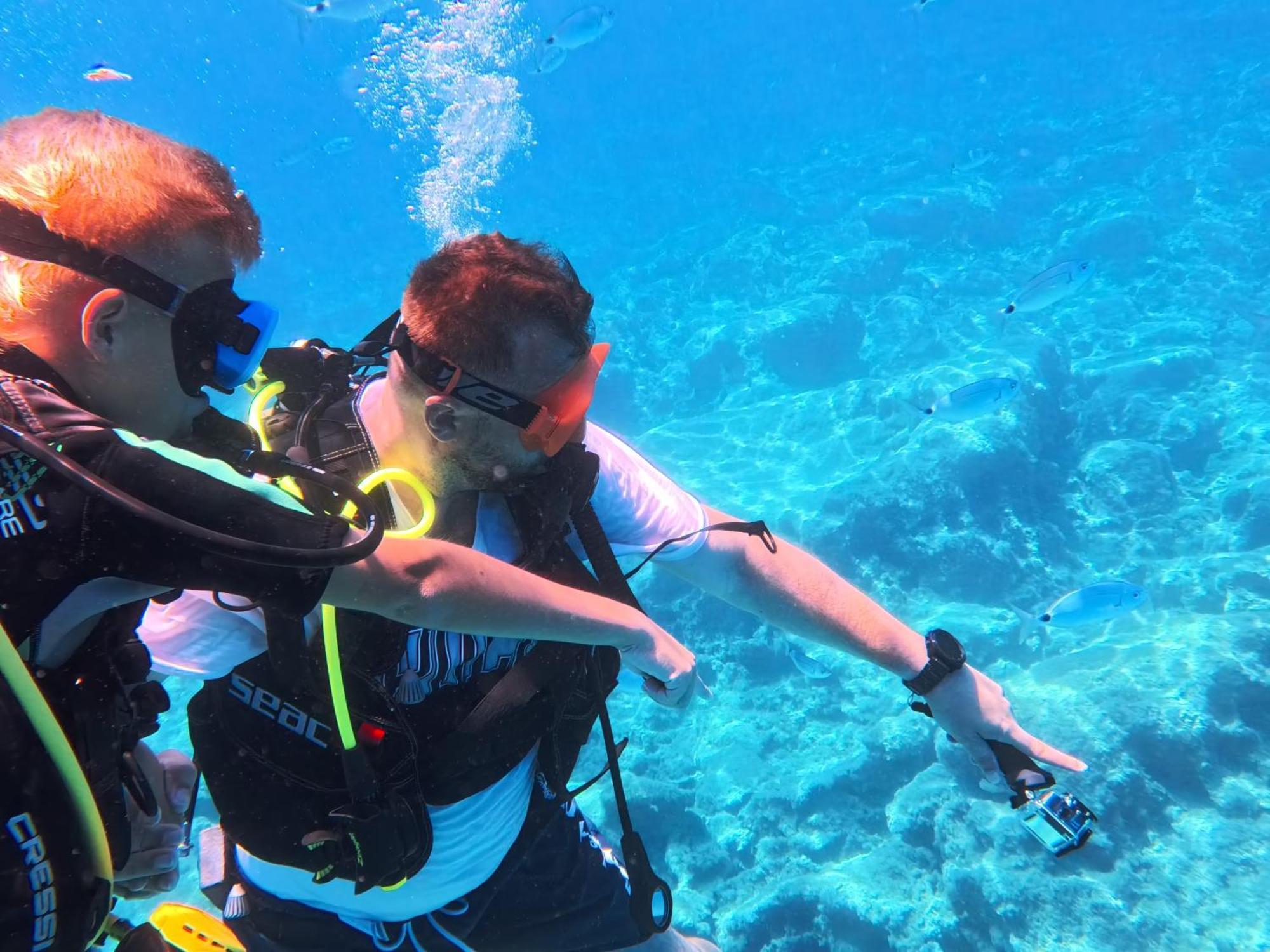 Apartment Diver's Den Protaras