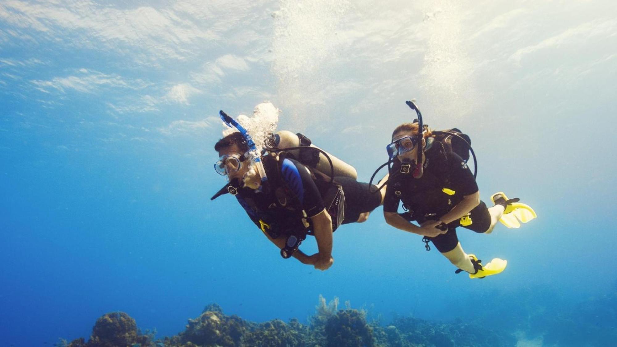 Apartment Diver's Den *