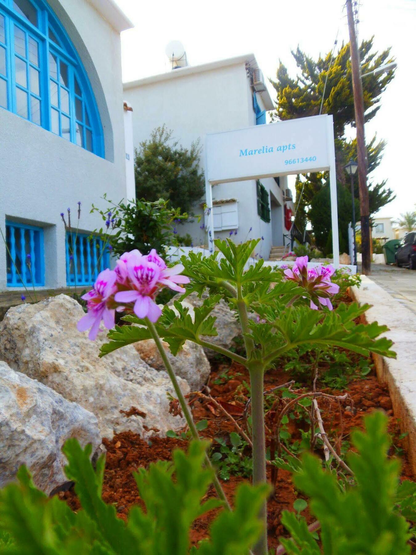 Light & Blue Ayios Elias Private Bungalows Aparthotel 3*
